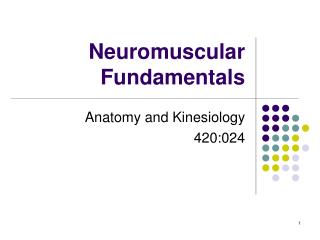 Neuromuscular Fundamentals