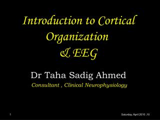 Introduction to Cortical Organization &amp; EEG