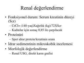 Renal değerlendirme