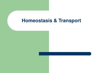 Homeostasis &amp; Transport