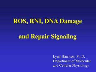 ROS, RNI, DNA Damage and Repair Signaling