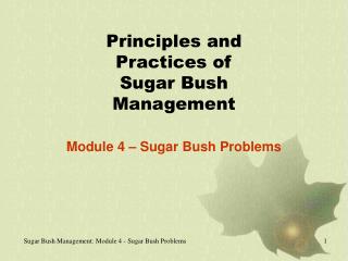 Principles and Practices of Sugar Bush Management