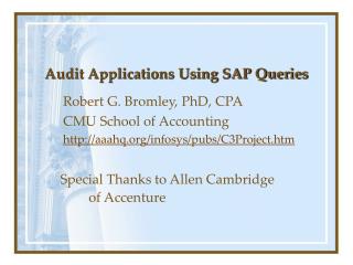 Audit Applications Using SAP Queries