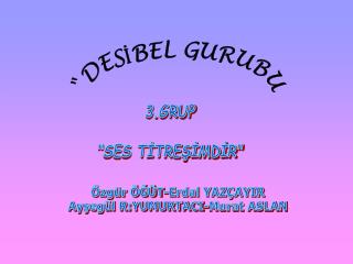 3.GRUP &quot;SES TİTREŞİMDİR&quot;