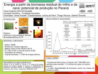 Energia a partir da biomassa residual do milho e da cana: potencial de produção no Paraná