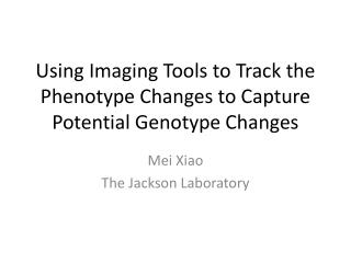 Using Imaging Tools to Track the Phenotype Changes to Capture Potential Genotype Changes