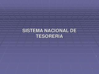 SISTEMA NACIONAL DE TESORERIA