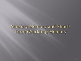 Sensory Memory and Short-Term (Working) Memory