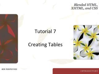 Tutorial 7 Creating Tables