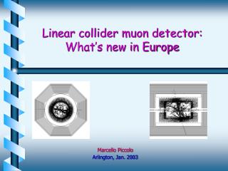 Linear collider muon detector: What’s new in Europe