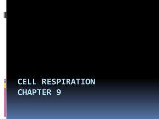 Cell Respiration Chapter 9