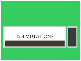 12-4 Mutations