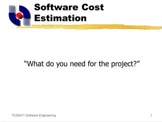 Software Cost Estimation