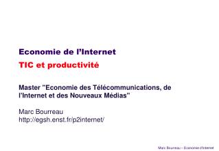 Economie de l’Internet TIC et productivité