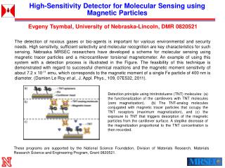 High-Sensitivity Detector for Molecular Sensing using Magnetic Particles