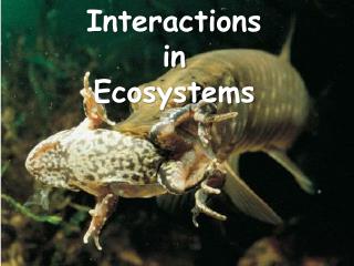 Interactions in Ecosystems