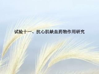 试验十一、抗心肌缺血药物作用研究
