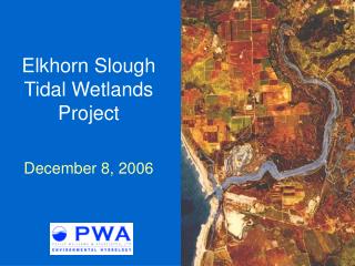 Elkhorn Slough Tidal Wetlands Project