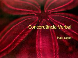 Concord ância Verbal