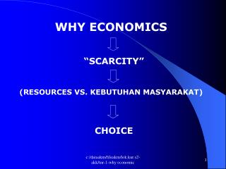 WHY ECONOMICS