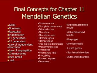 Final Concepts for Chapter 11 Mendelian Genetics