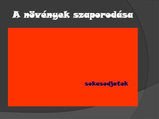 A növények szaporodása