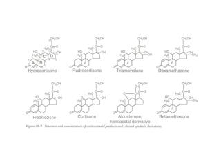 Prednisolone