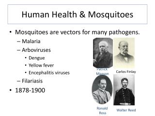 Human Health & Mosquitoes