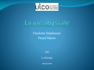La vie abyssale