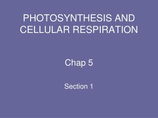 PHOTOSYNTHESIS AND CELLULAR RESPIRATION