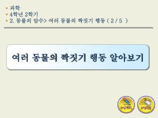 과학 4 학년 2 학기 2. 동물의 암수 &gt; 여러 동물의 짝짓기 행동 ( 2 / 5 )