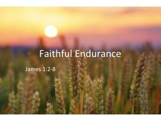 Faithful Endurance