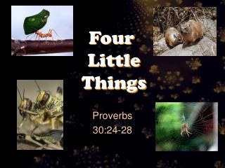 Four Little Things