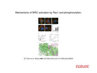 ZC Chen et al. Nature 468 , 533-538 (2010) doi:10.1038/nature09623