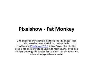Pixelshow - Fat Monkey