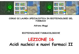BIOTECNOLOGIE FARMACOLOGICHE LEZIONE 16 Acidi nucleici e nuovi farmaci II