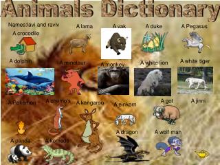 Animals Dictionary