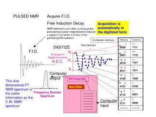 PULSED NMR