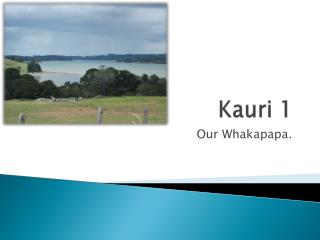 Kauri 1
