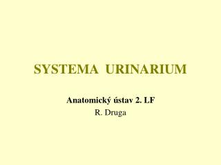 SYSTEMA URINARIUM