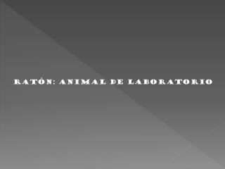 RATÓN: ANIMAL DE LABORATORIO