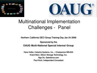 Multinational Implementation Challenges - Panel