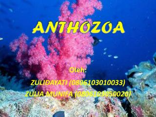 Oleh : ZULIDAYATI (0806103010033) ZULIA MUNIFA (0806103050020)