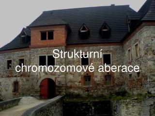 Strukturní chromozomové aberace