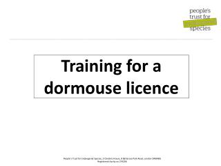 Training for a dormouse licence