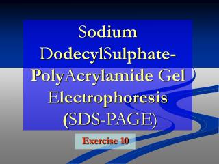 S odium D odecyl S u lph ate- P oly A crylamide G el E lectrophoresis ( SDS-PAGE )