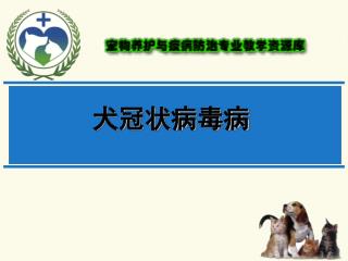 犬冠状病毒病