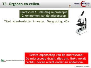 T3. Organen en cellen.