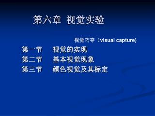 第六章 视觉实验