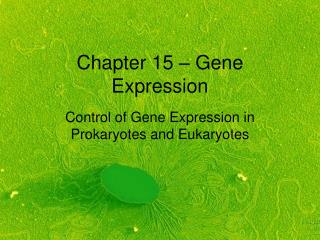 Chapter 15 – Gene Expression